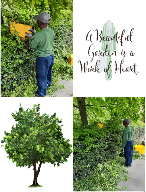 A beautiful garden is a work of heart - Thumbnail