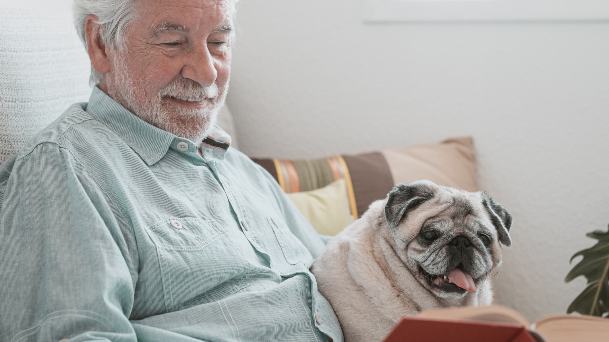 East Ham care home pet dog therapy for dementia patients - Thumbnail